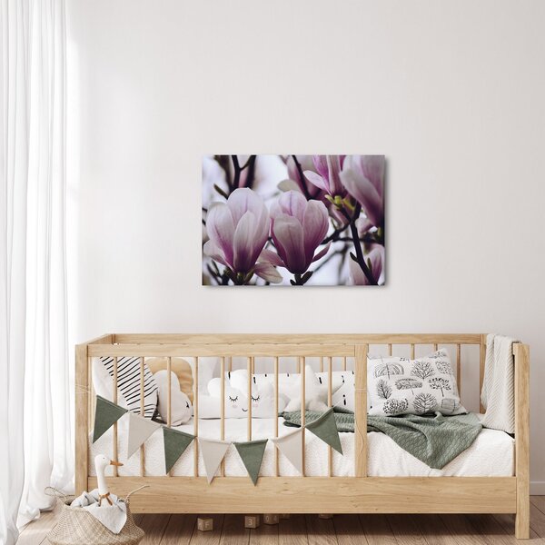 Slika - Magnolija (70x50 cm)