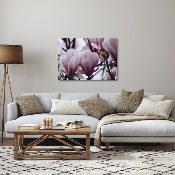 Slika - Magnolija (70x50 cm)