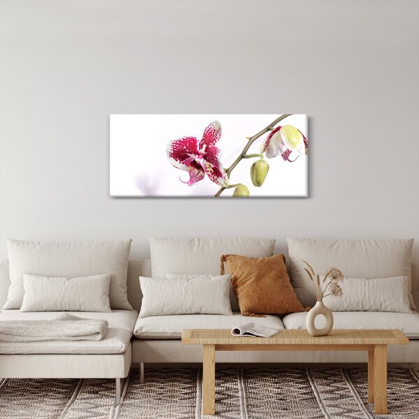 Slika cvijeta orhideje (120x50 cm)