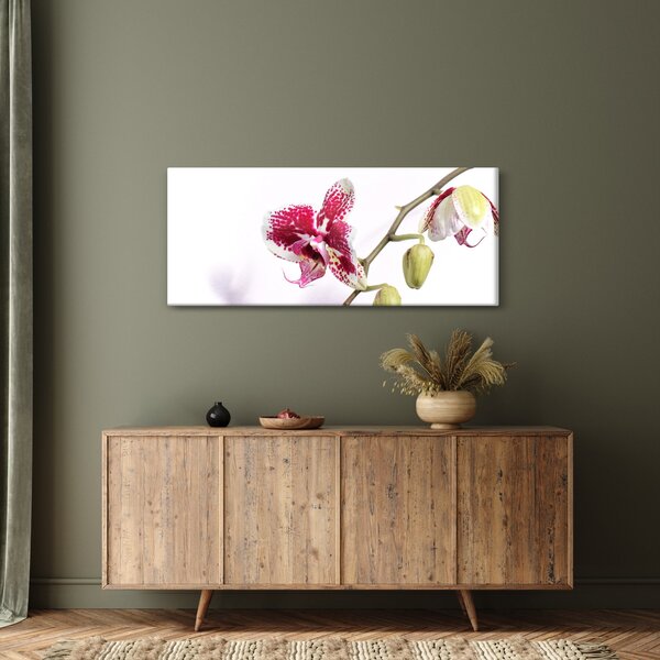 Slika cvijeta orhideje (120x50 cm)