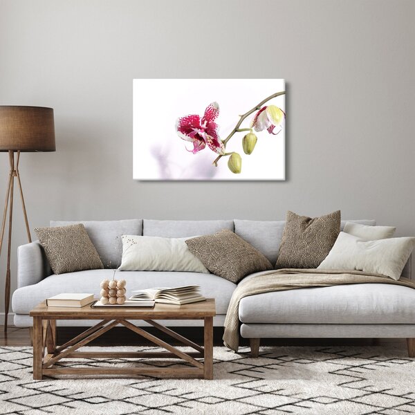 Slika cvijeta orhideje (90x60 cm)