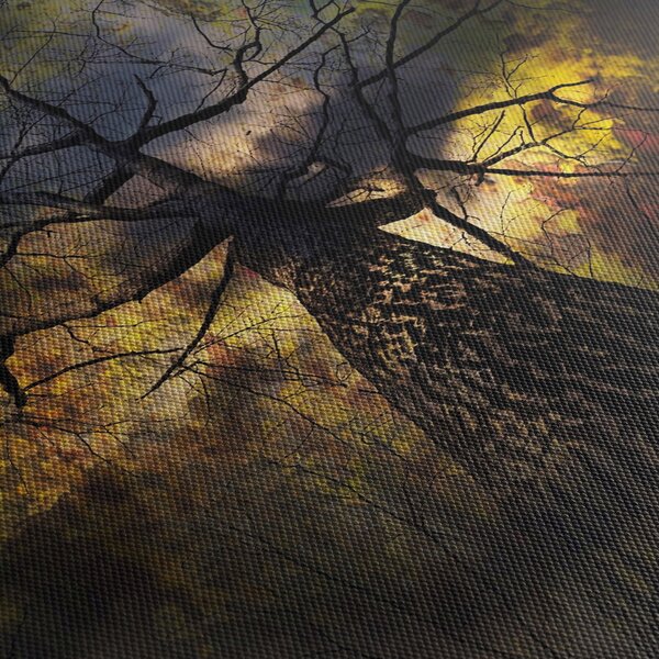 Slika - Tajanstveno nebo (120x50 cm)
