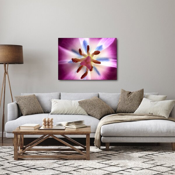Slika - Cvijet tulipana u detalju (70x50 cm)