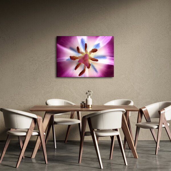 Slika - Cvijet tulipana u detalju (70x50 cm)