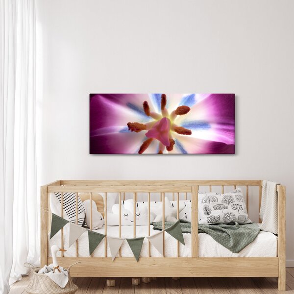 Slika - Cvijet tulipana u detalju (120x50 cm)