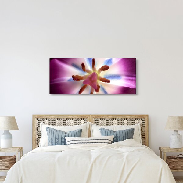 Slika - Cvijet tulipana u detalju (120x50 cm)
