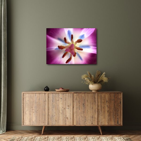 Slika - Cvijet tulipana u detalju (70x50 cm)