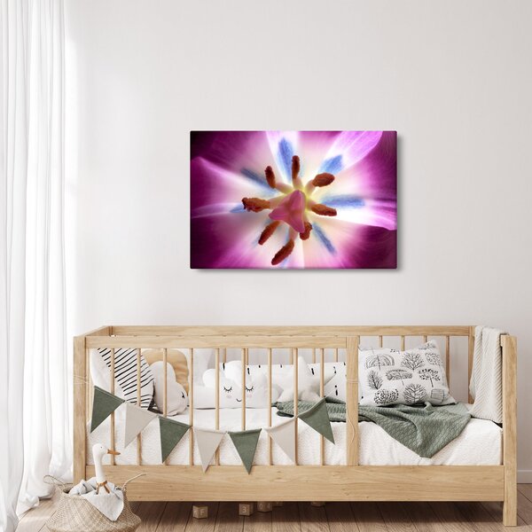 Slika - Cvijet tulipana u detalju (90x60 cm)