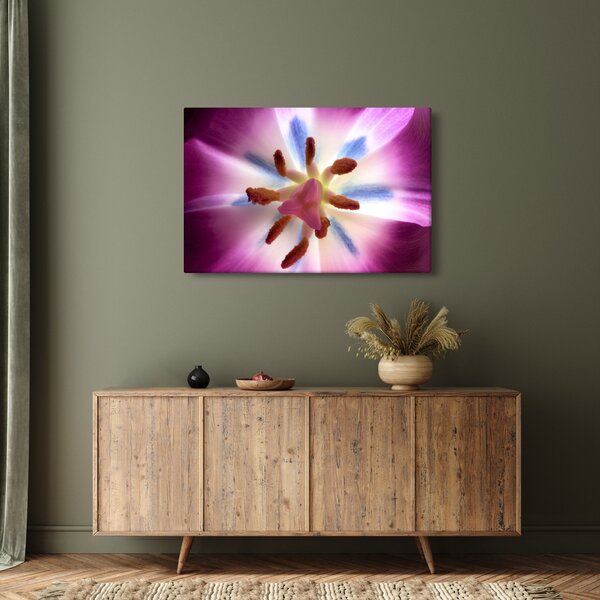 Slika - Cvijet tulipana u detalju (90x60 cm)