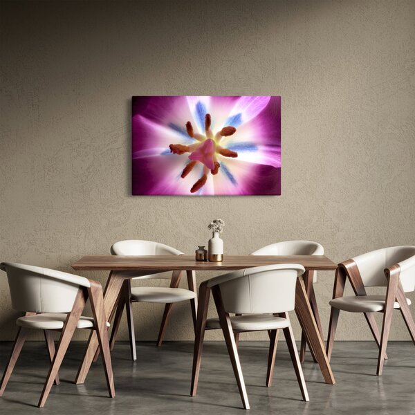 Slika - Cvijet tulipana u detalju (90x60 cm)