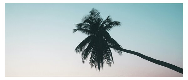 Slika - Palma na Baliju (120x50 cm)