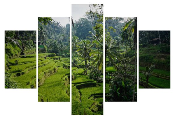 Slika rižinih terasa Tegalalang, Bali (150x105 cm)