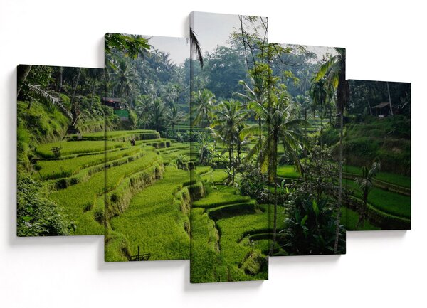 Slika rižinih terasa Tegalalang, Bali (150x105 cm)