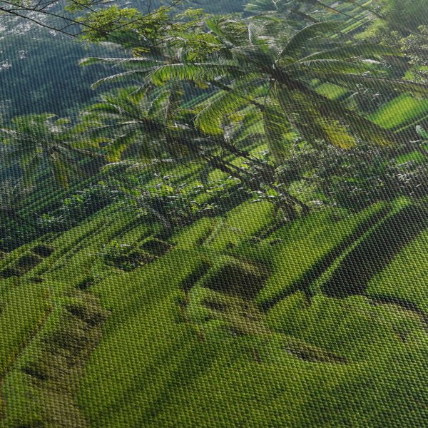 Slika rižinih terasa Tegalalang, Bali (70x50 cm)