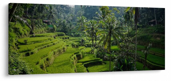 Slika rižinih terasa Tegalalang, Bali (120x50 cm)