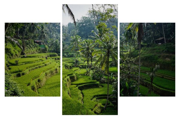 Slika rižinih terasa Tegalalang, Bali (90x60 cm)