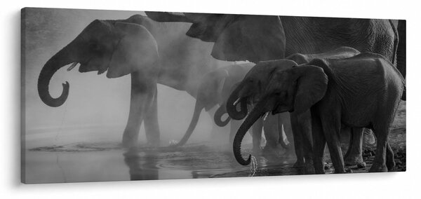 Slika slonova - crno-bijela (120x50 cm)