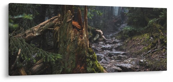 Slika - U šumi (120x50 cm)