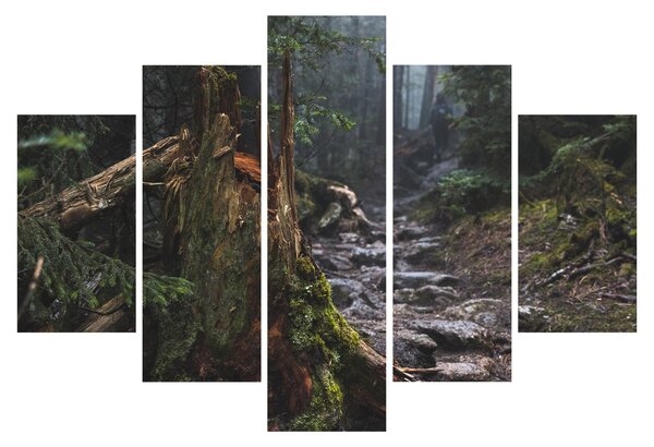 Slika - U šumi (150x105 cm)