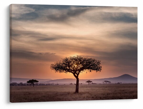 Slika zalaska sunca u Tanzaniji (70x50 cm)