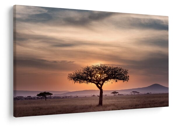 Slika zalaska sunca u Tanzaniji (90x60 cm)