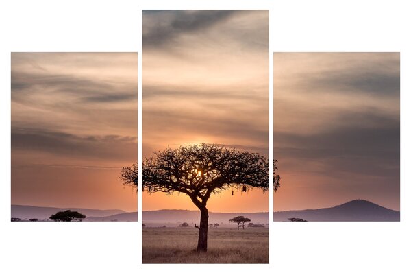 Slika zalaska sunca u Tanzaniji (90x60 cm)