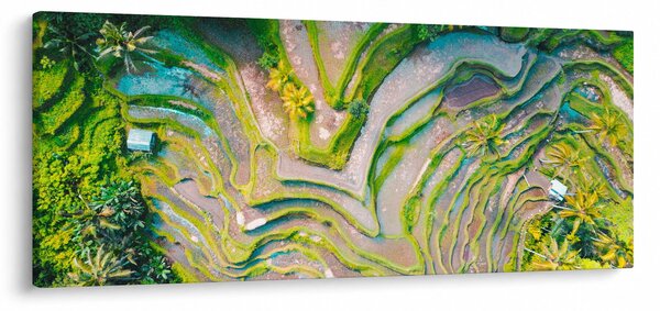 Slika rižinih polja iz ptičje perspektive (120x50 cm)