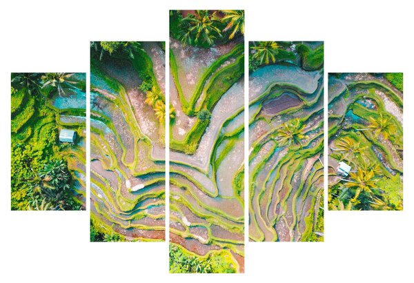 Slika rižinih polja iz ptičje perspektive (150x105 cm)