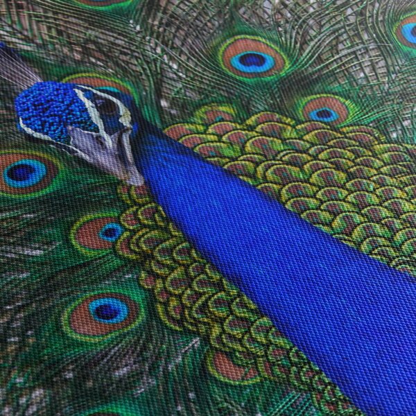 Slika - Paun (90x60 cm)