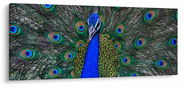 Slika - Paun (120x50 cm)