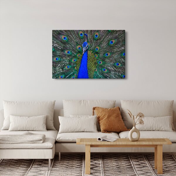 Slika - Paun (90x60 cm)