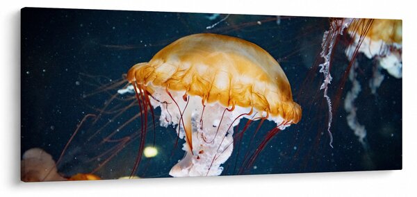 Slika meduze (120x50 cm)