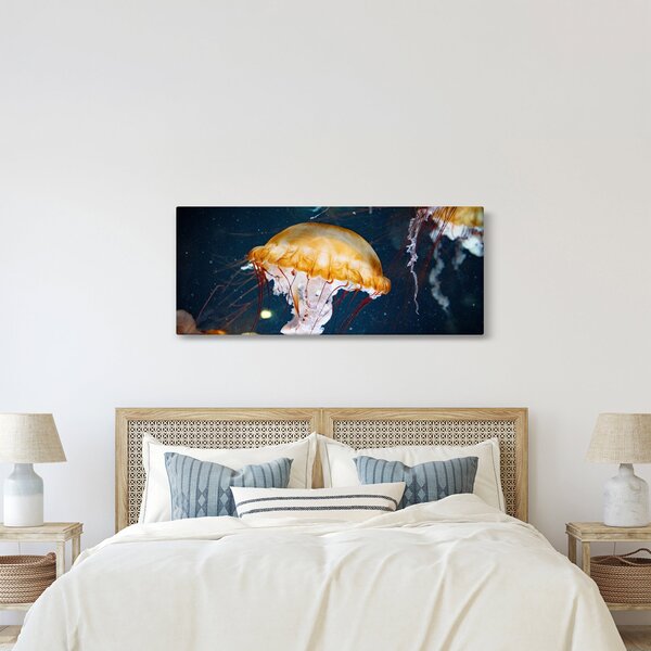 Slika meduze (120x50 cm)
