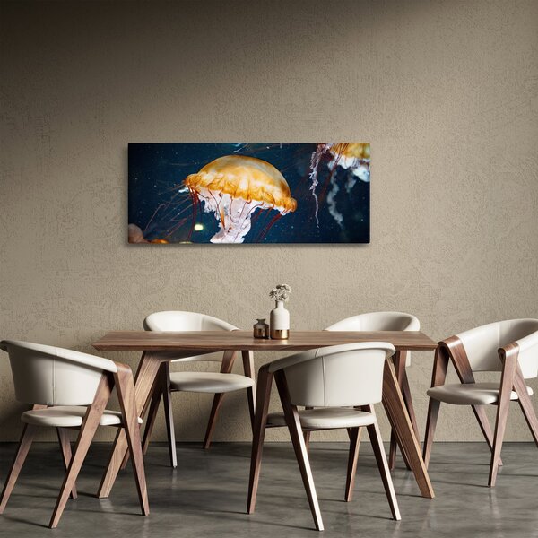Slika meduze (120x50 cm)