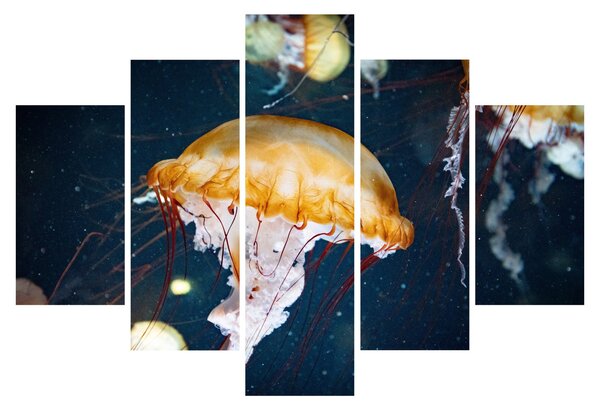Slika meduze (150x105 cm)