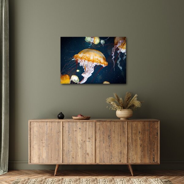 Slika meduze (70x50 cm)