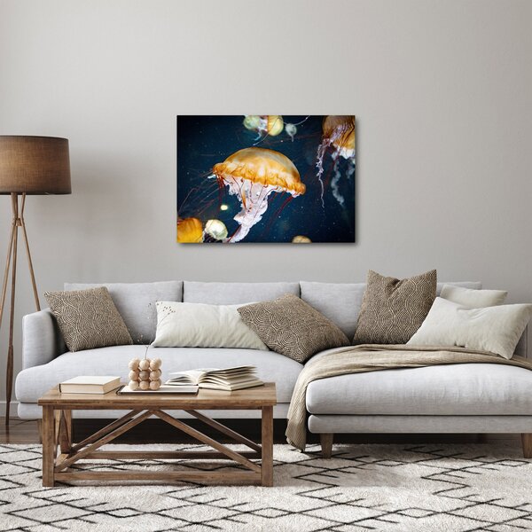 Slika meduze (70x50 cm)