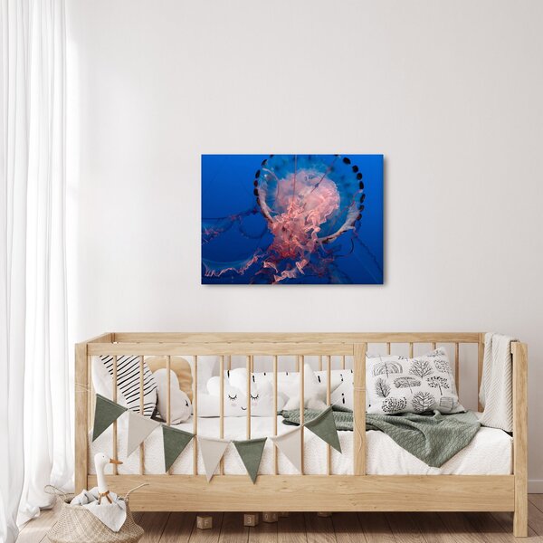 Slika meduze (70x50 cm)