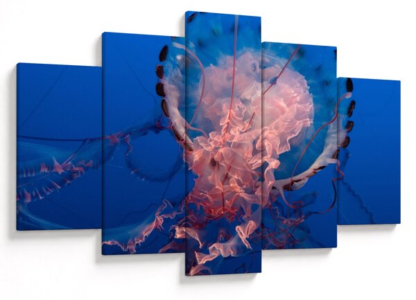 Slika meduze (150x105 cm)