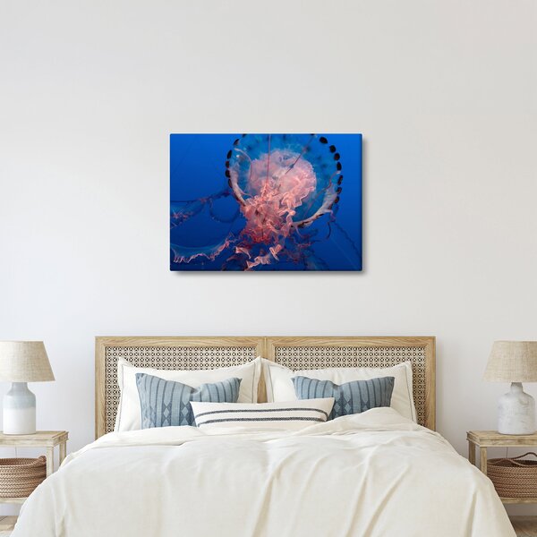 Slika meduze (70x50 cm)