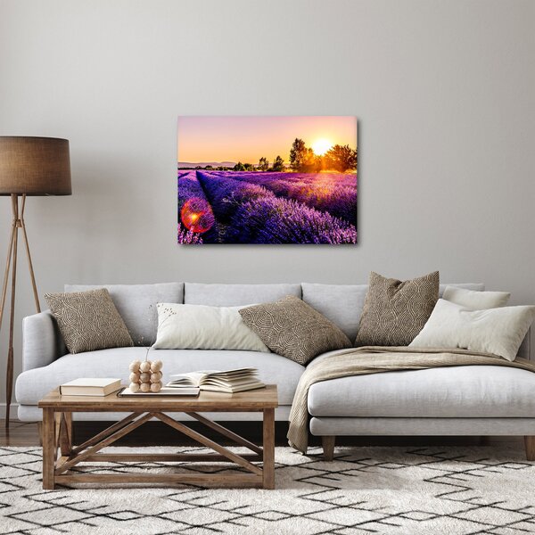 Slika polja lavande, Provence (70x50 cm)