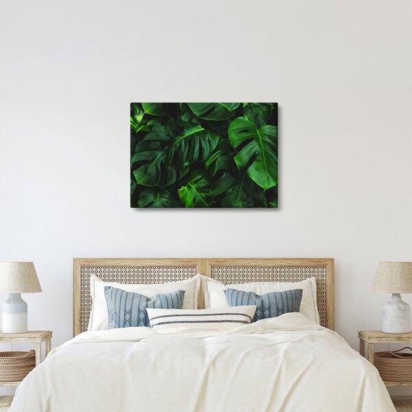 Slika lišća Monstery (70x50 cm)