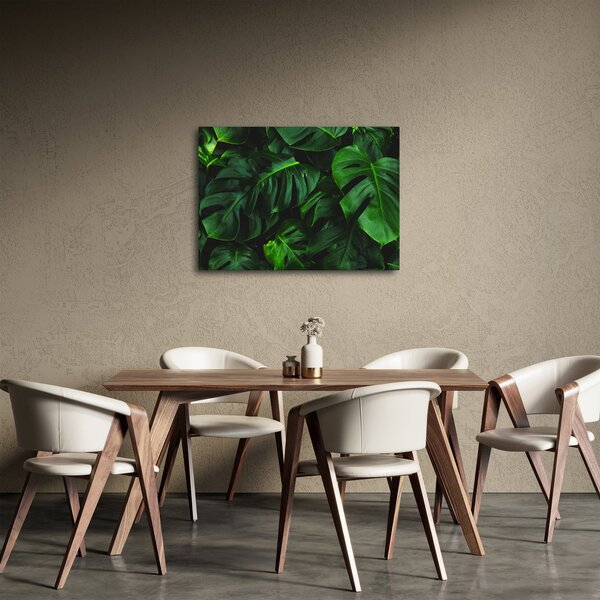 Slika lišća Monstery (70x50 cm)
