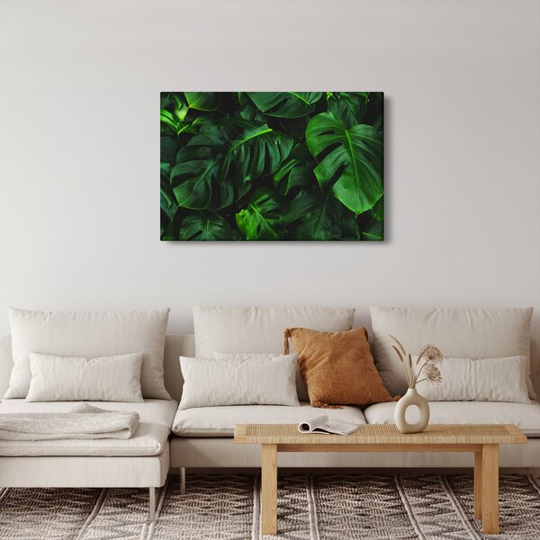 Slika lišća Monstery (90x60 cm)