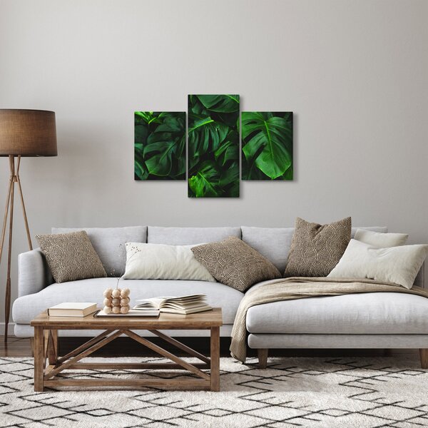 Slika lišća Monstery (90x60 cm)