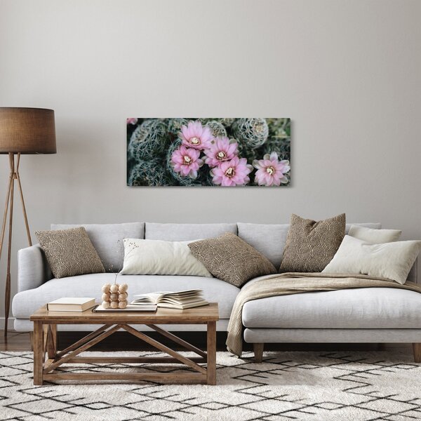 Slika cvijeta kaktusa (120x50 cm)