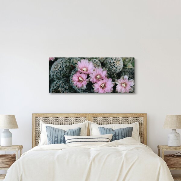 Slika cvijeta kaktusa (120x50 cm)