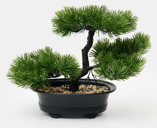 Sinsay - Ukrasna biljka – bonsai stablo