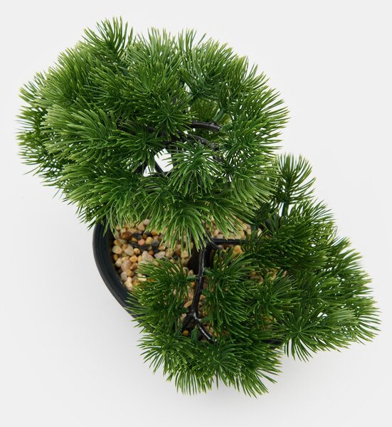 Sinsay - Ukrasna biljka – bonsai stablo