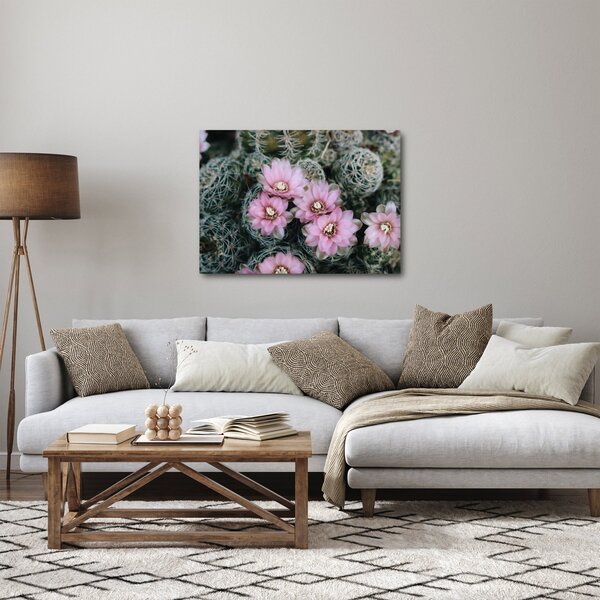 Slika cvijeta kaktusa (70x50 cm)